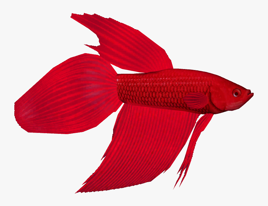 Bettathom - Bony-fish, HD Png Download