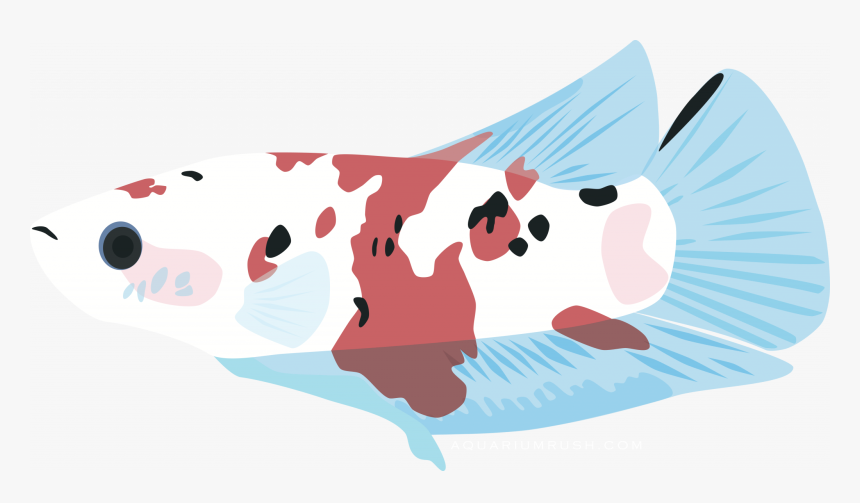 Clip Art, HD Png Download