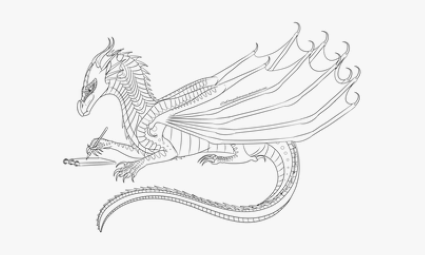 Betta Clipart Black And White - Sketch, HD Png Download