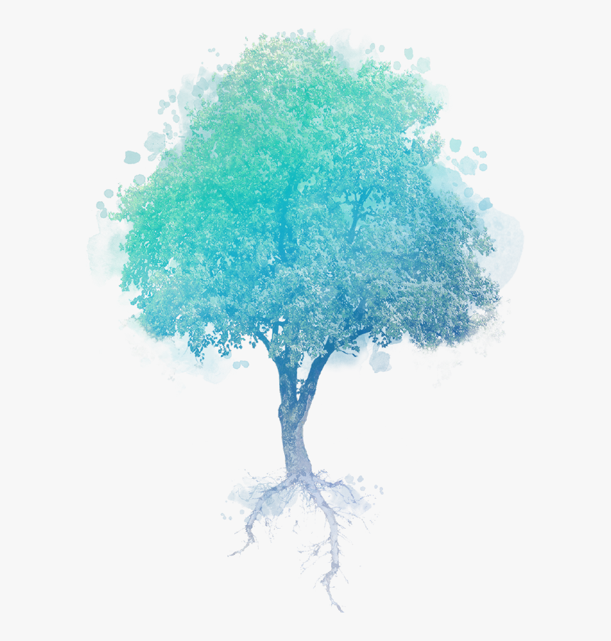 Árvore - De Arvores, HD Png Download