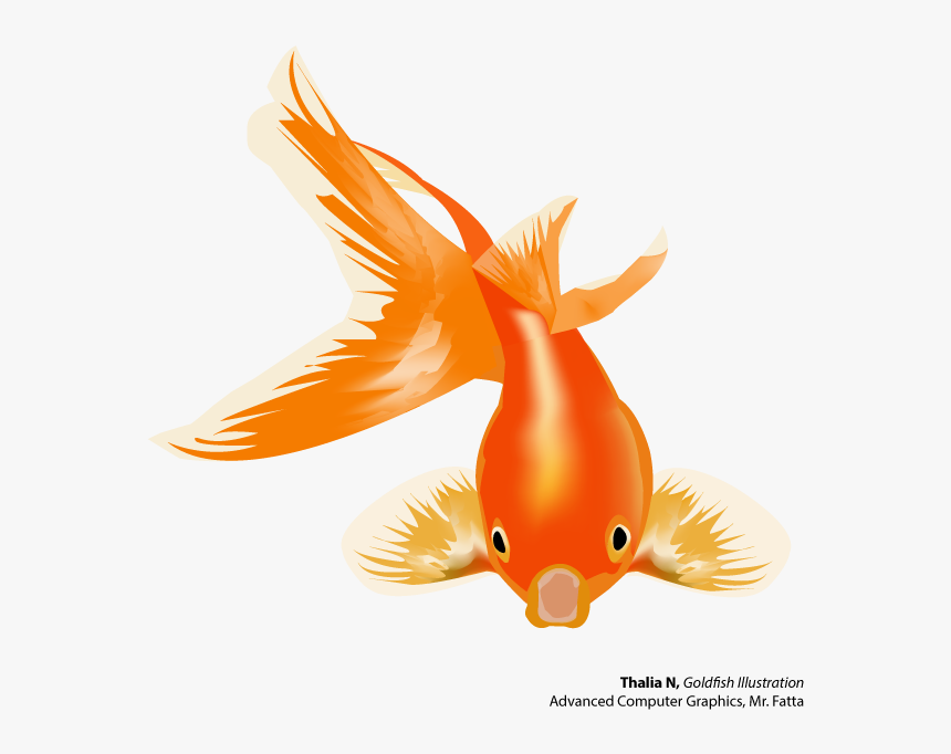 Goldfish Clipart Colorful Fish - Gold Fish Vector Png, Transparent Png