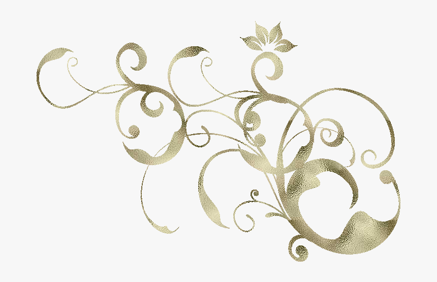 Zoom Diseño Y Fotografia, HD Png Download