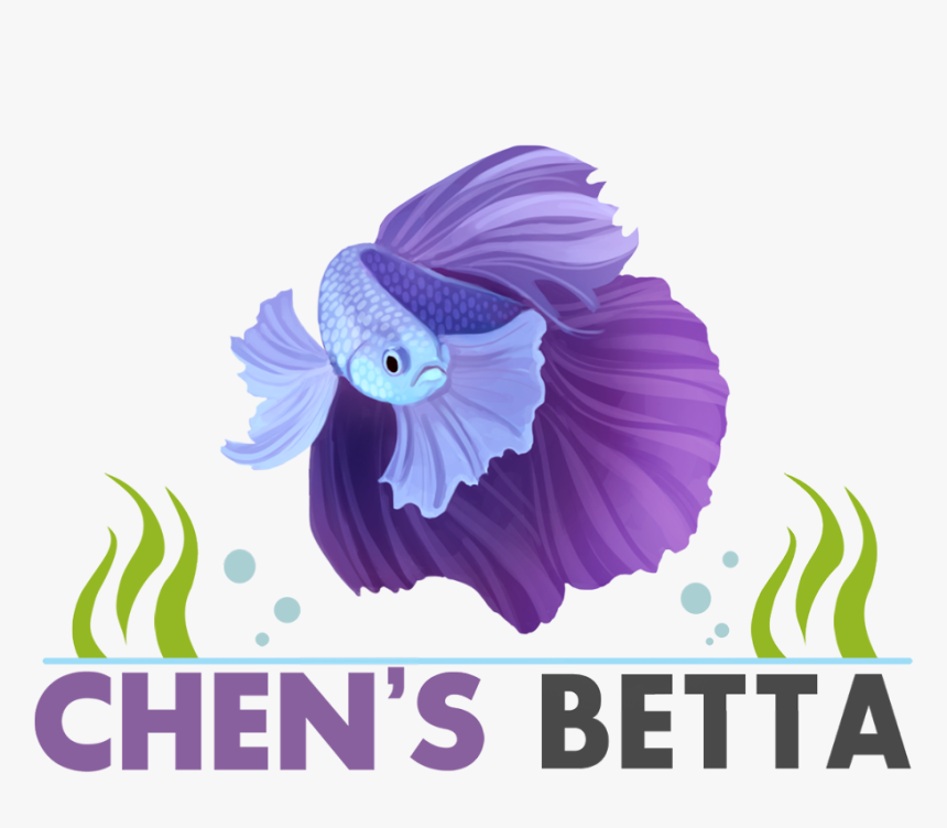 Betta Png, Transparent Png