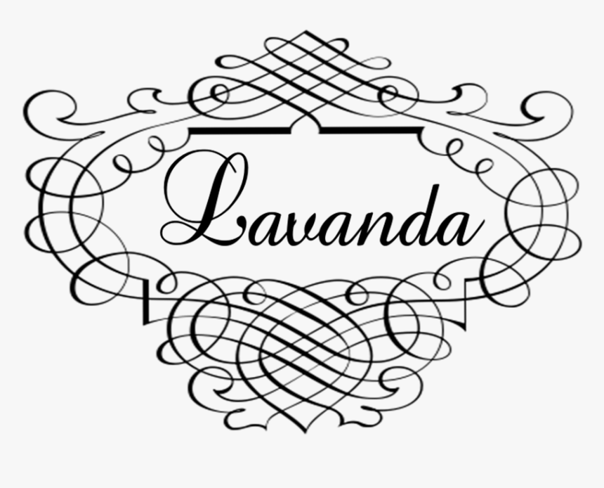 Zoom Diseño Y Fotografia - Circle, HD Png Download