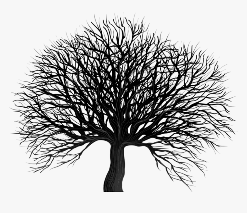 Free Png Download Black Tree Png Png Images Background, Transparent Png ...