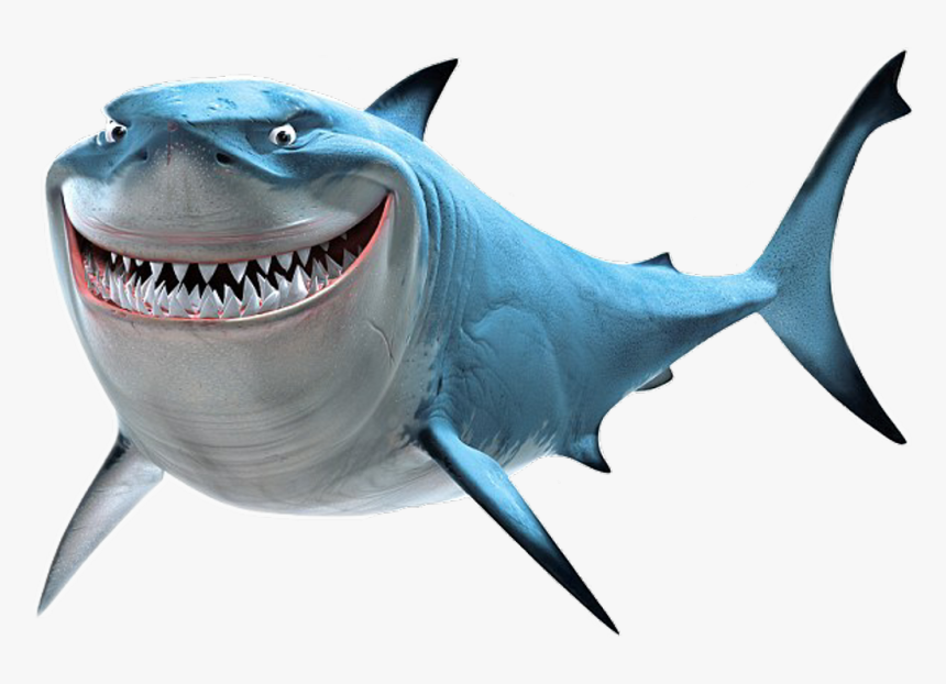 Findingnemo Bruce Shark Scseacreatures 