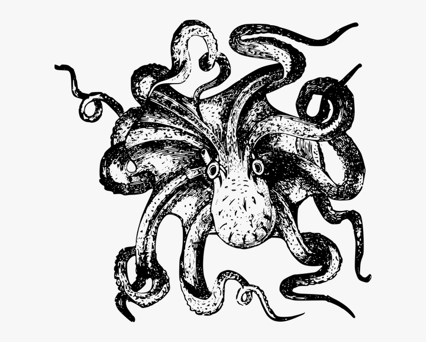 Kraken Transparent Clip Art, HD Png Download