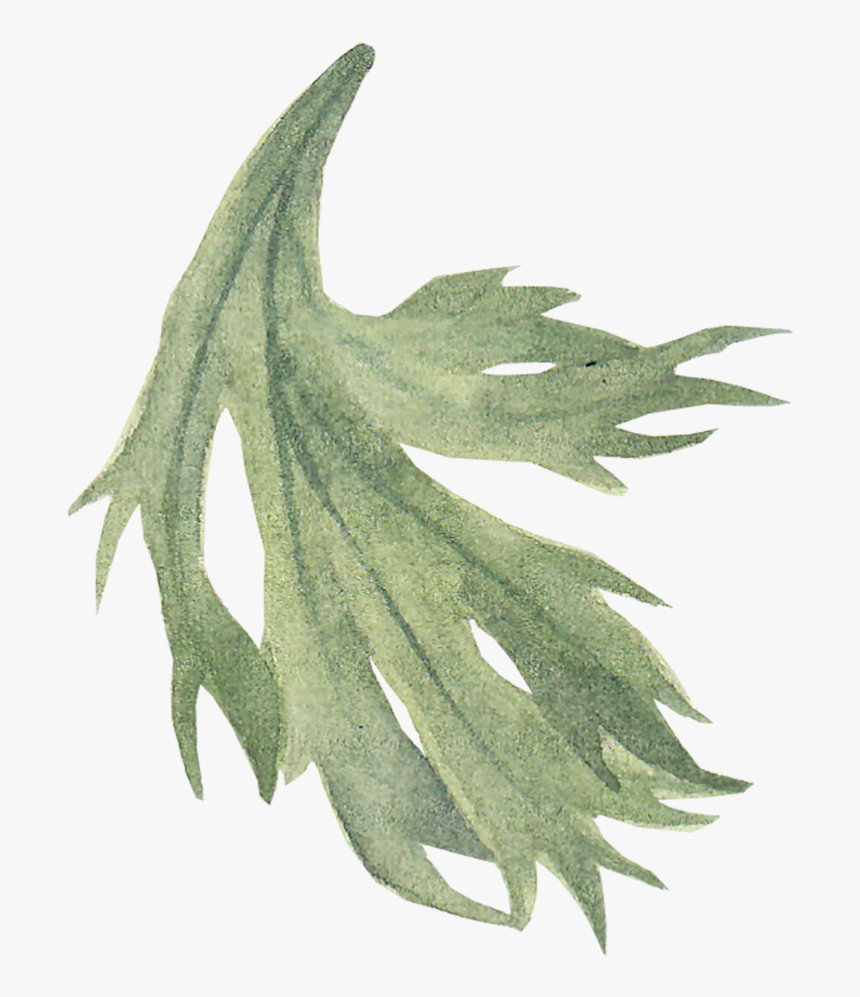 Leaf Icon Png, Transparent Png