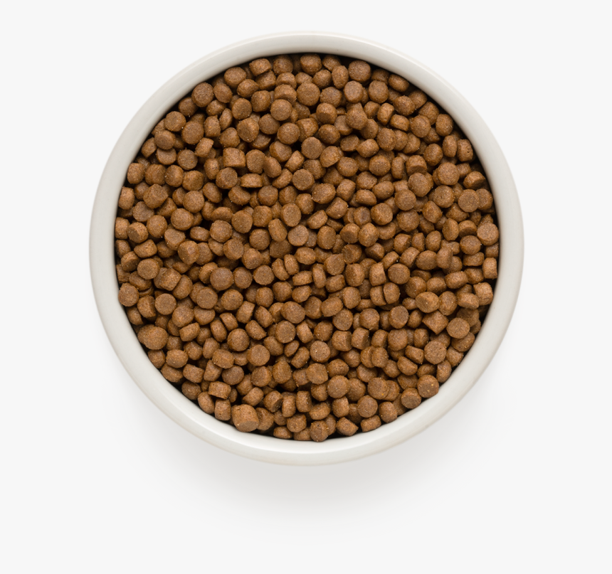 dog-food-png-transparent-png-transparent-png-image-pngitem