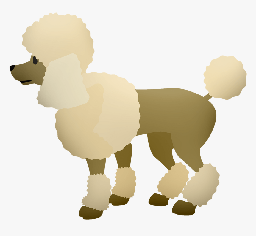 Poodle Png, Transparent Png