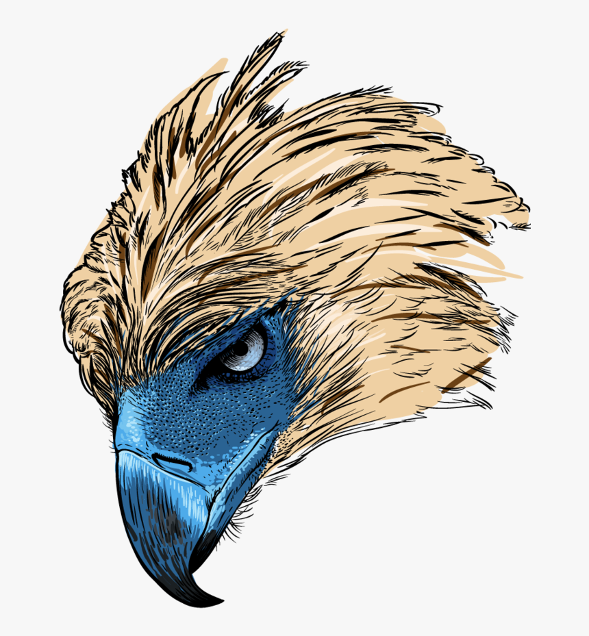 Philippine Eagle Clipart Vector, HD Png Download