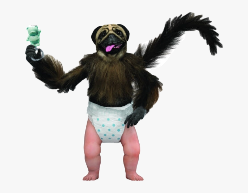 Puppy Monkey Baby Png, Transparent Png
