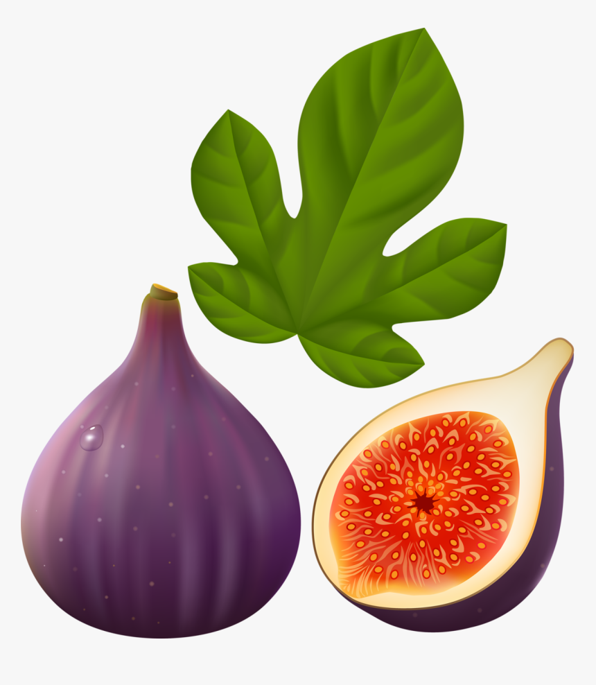 Fig Clipart Png, Transparent Png