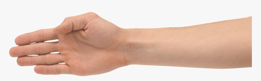 Hands Png Image, Transparent Png