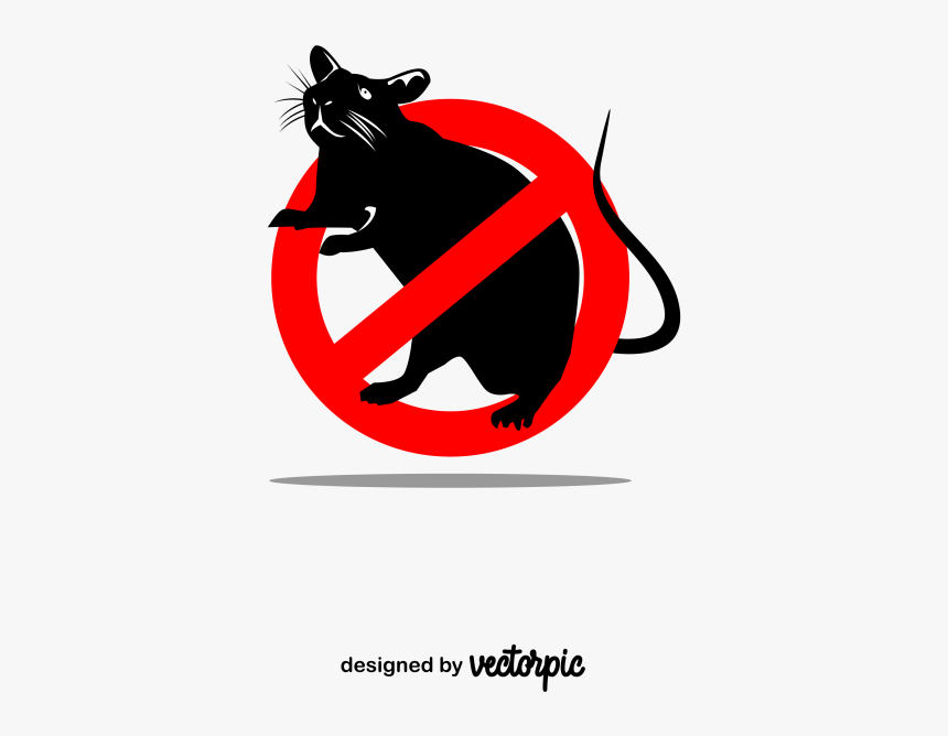 Hoodie, HD Png Download