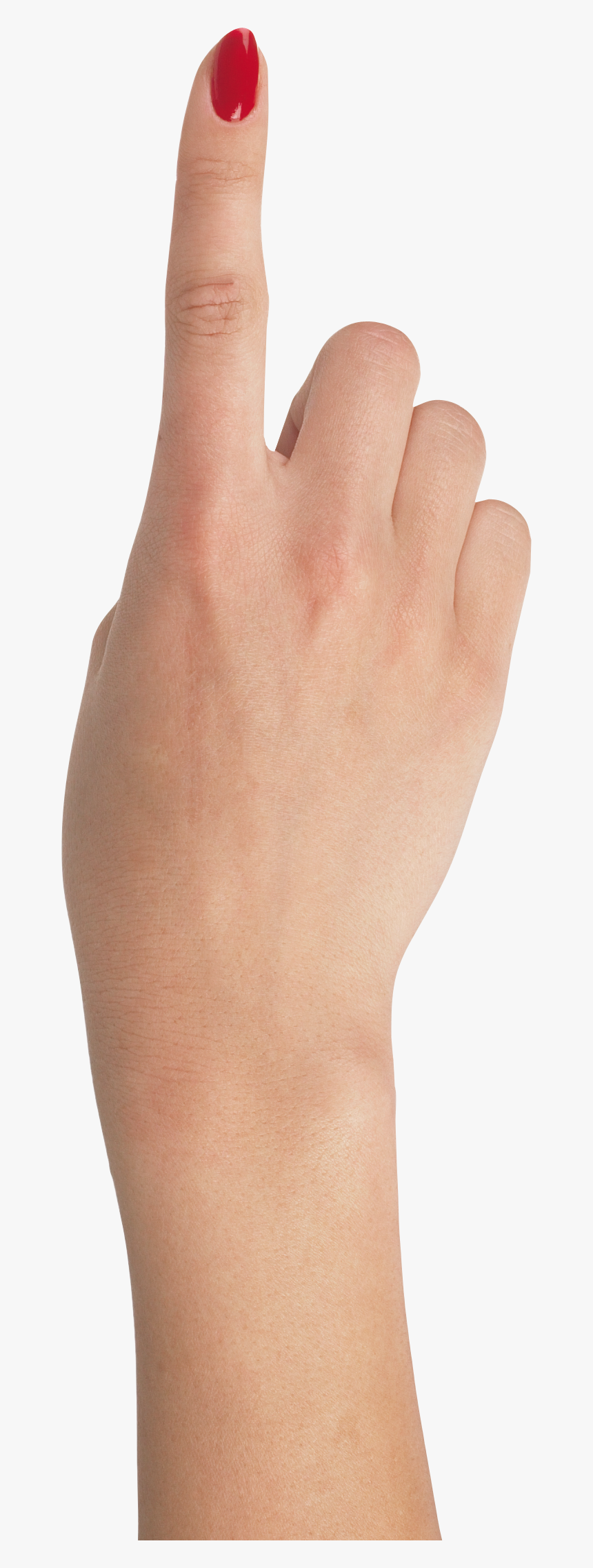 Png Hand, Transparent Png