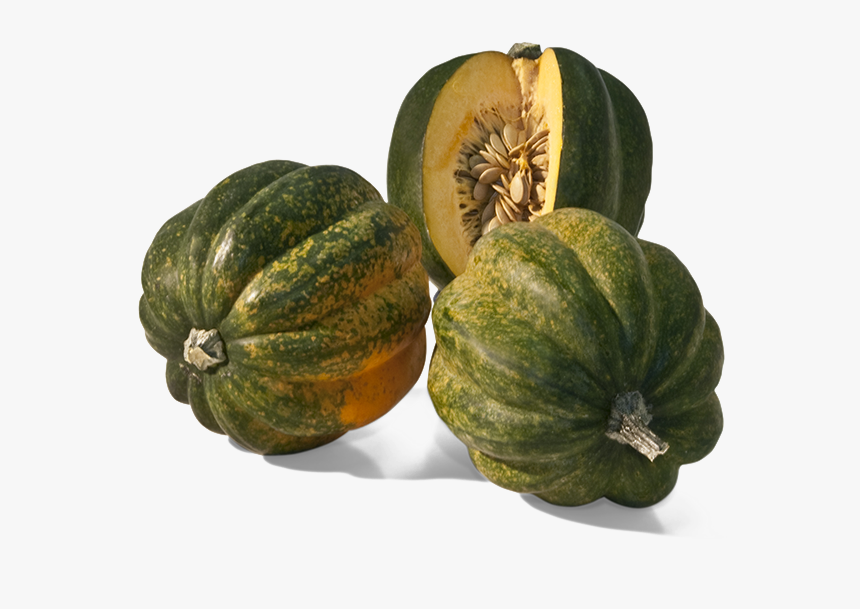 Acorn Squash Transparent Background - Squash Transparent Png, Png Download