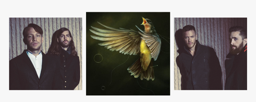 Imagine Dragons, HD Png Download