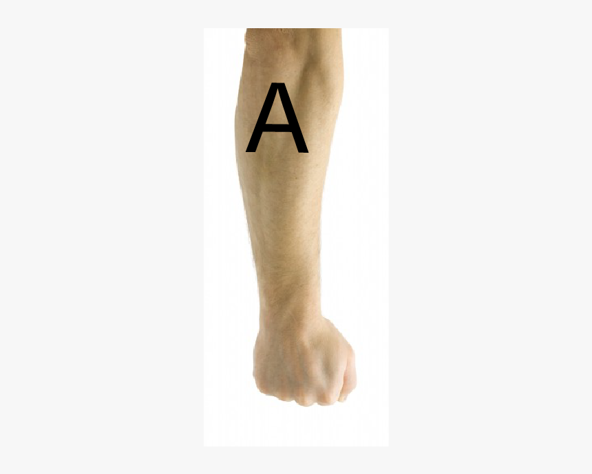 Temporary Tattoo, HD Png Download