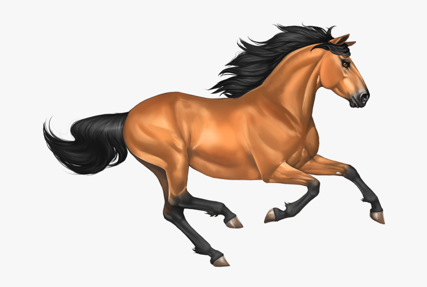 Transparent Horse Png - Horse Mustang Png, Png Download