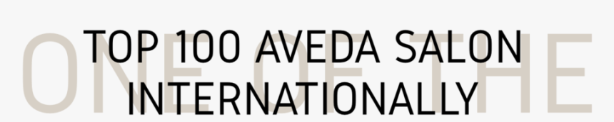 Overproject 113 - Parallel, HD Png Download