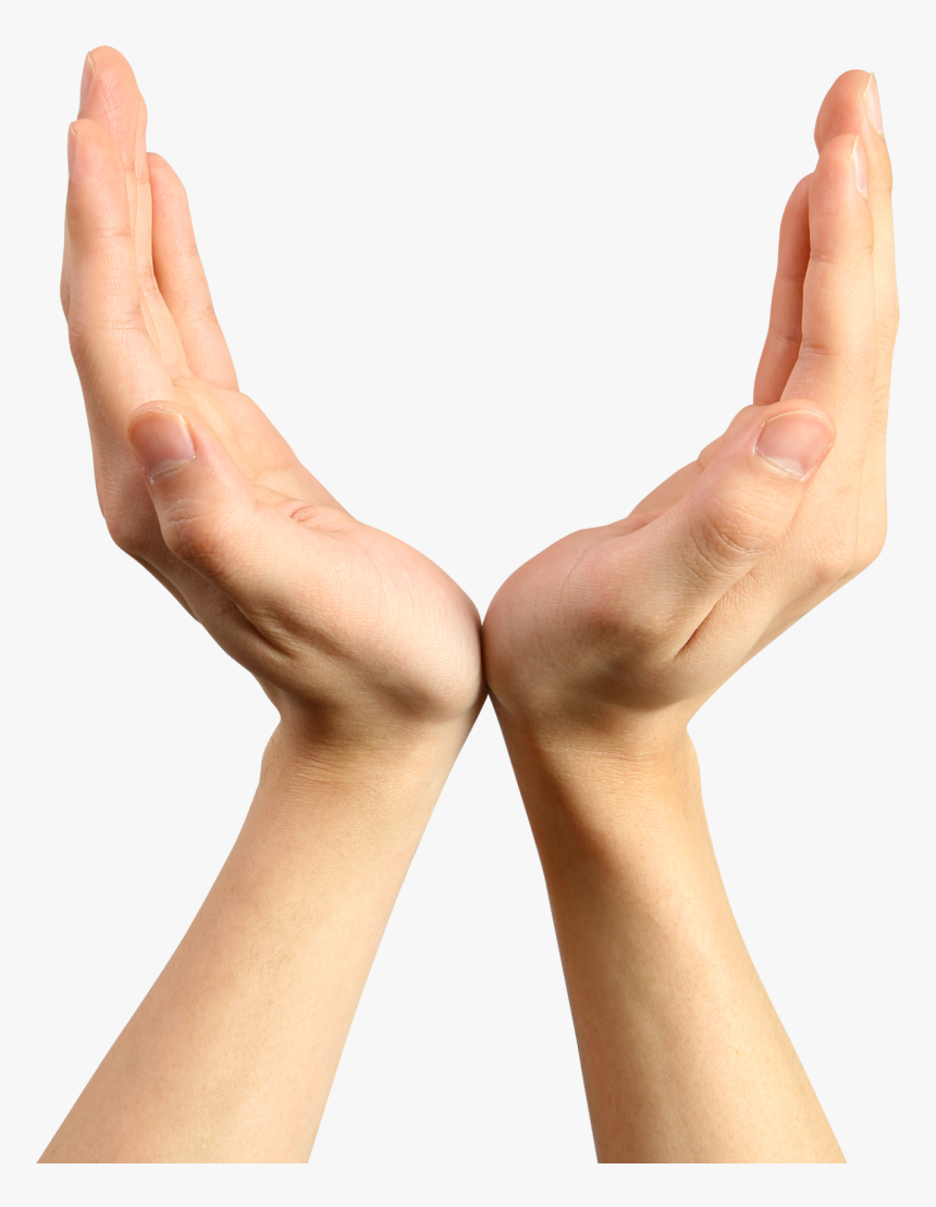 Holding Hand Png, Transparent Png