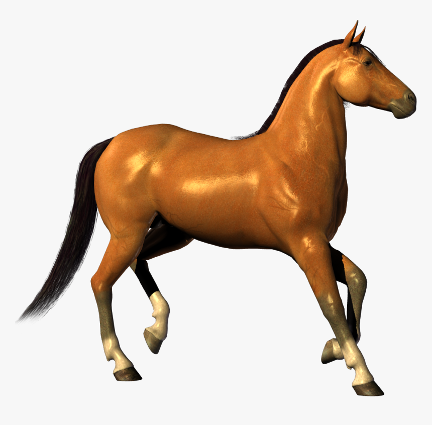 Horse Png Eohippus - Background Horse Images Hd, Transparent Png
