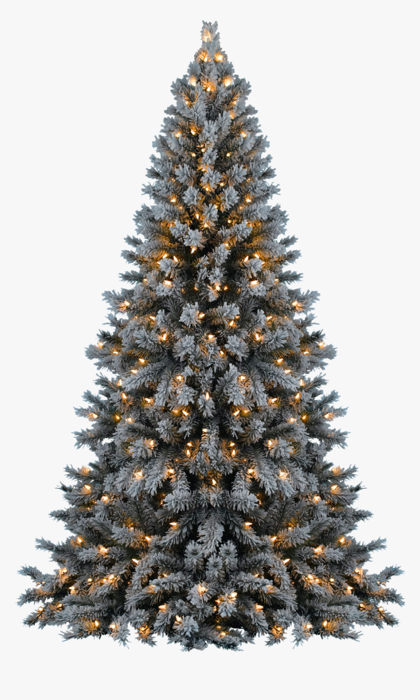 Christmas Tree Png Transparent - Christmas Tree Justin Bieber, Png Download