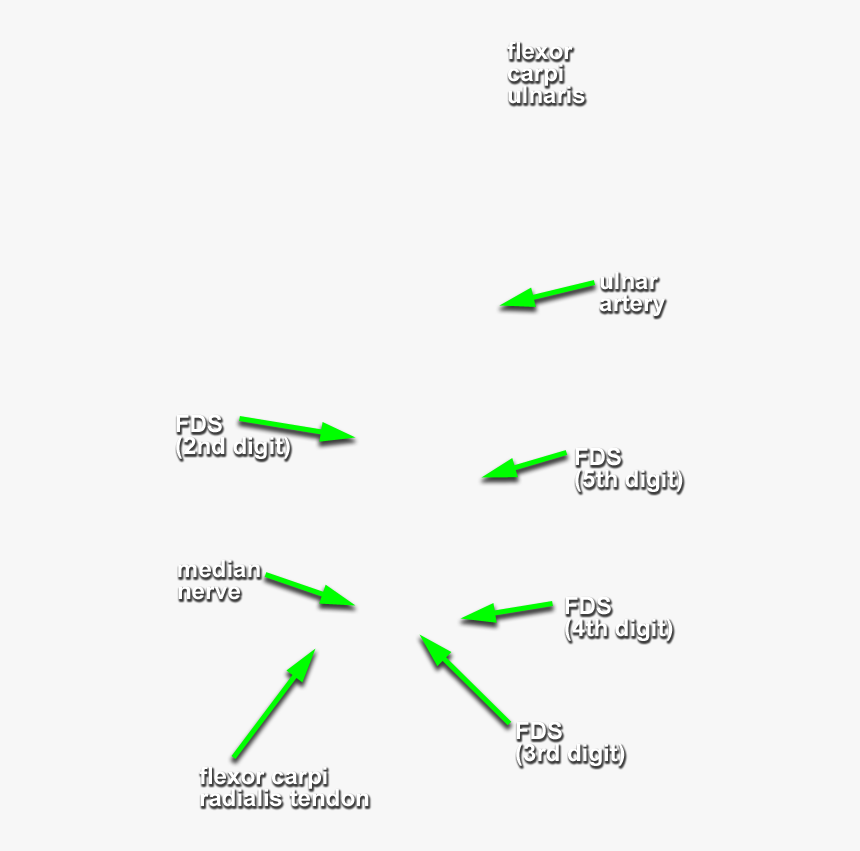 Diagram, HD Png Download