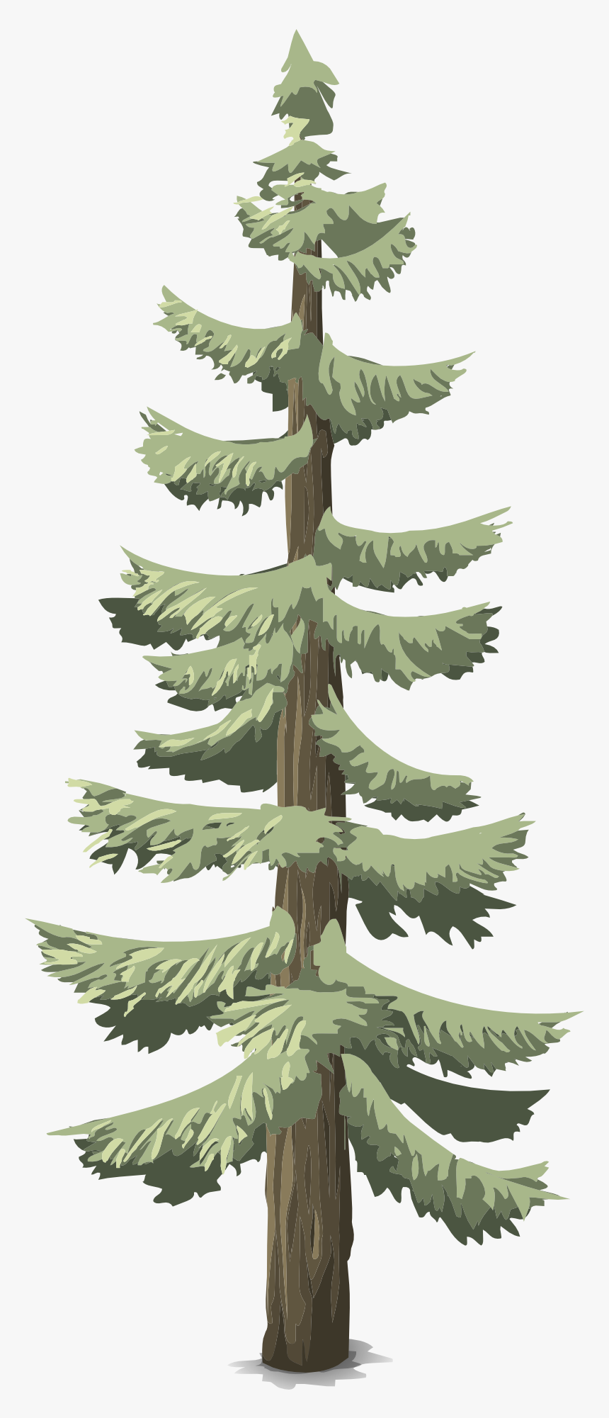 Arbol De Bosque Png, Transparent Png