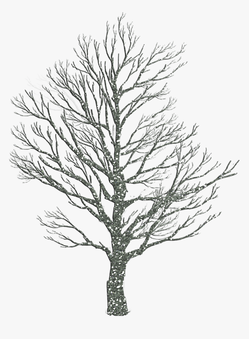 Tree Christmas Holiday Free Picture - Sad Tree Wallpaper Hd, HD Png Download