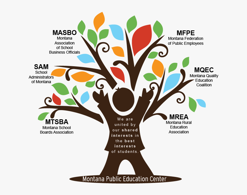 Mt Pec Tree Partners - Orchard School Plano, HD Png Download