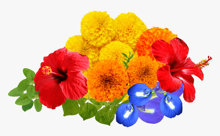 Real Flowers Png, Transparent Png