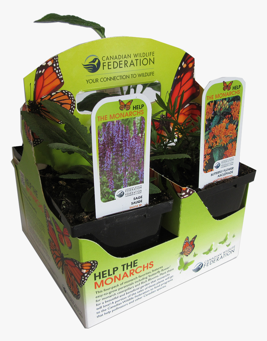 Transparent Flower Png Pack - Canadian Wildlife Federation, Png Download