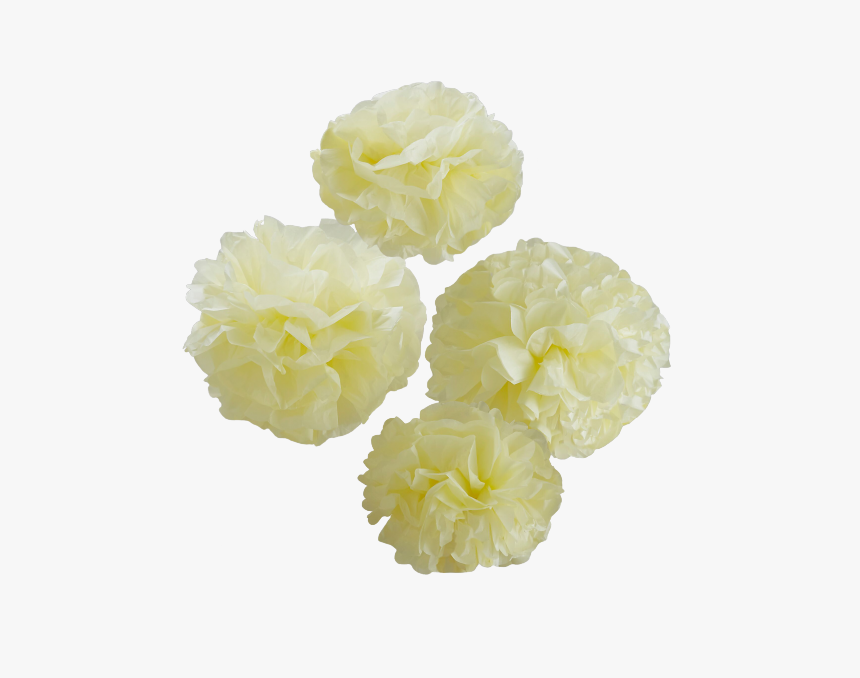 Transparent Pom Poms Png - Artificial Flower, Png Download