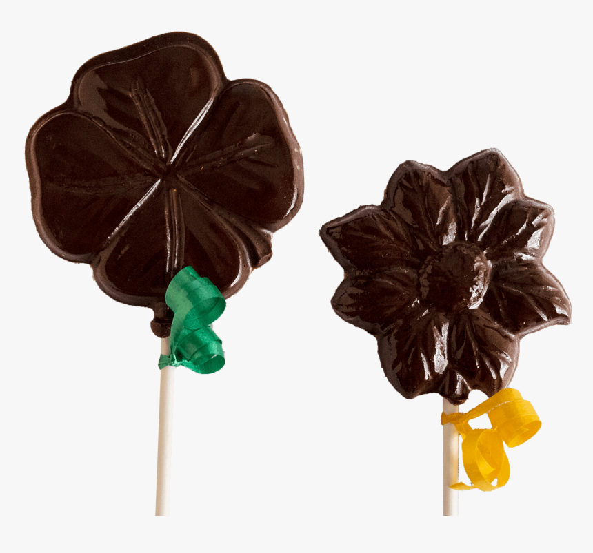 Click - Anthurium - Earrings, HD Png Download