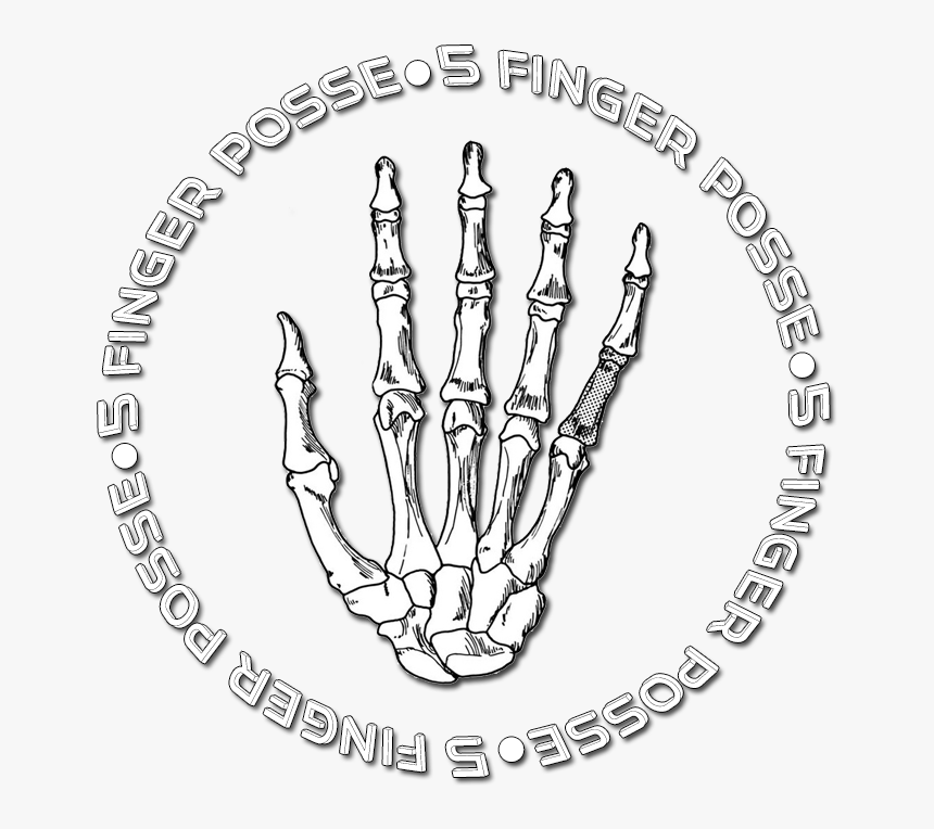 Hand Bones, HD Png Download