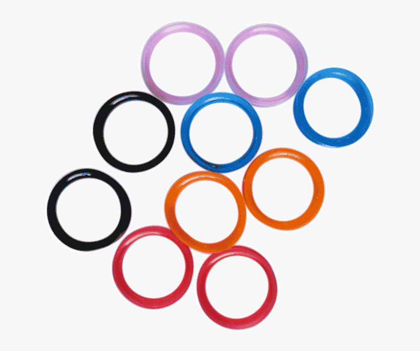 Circle, HD Png Download