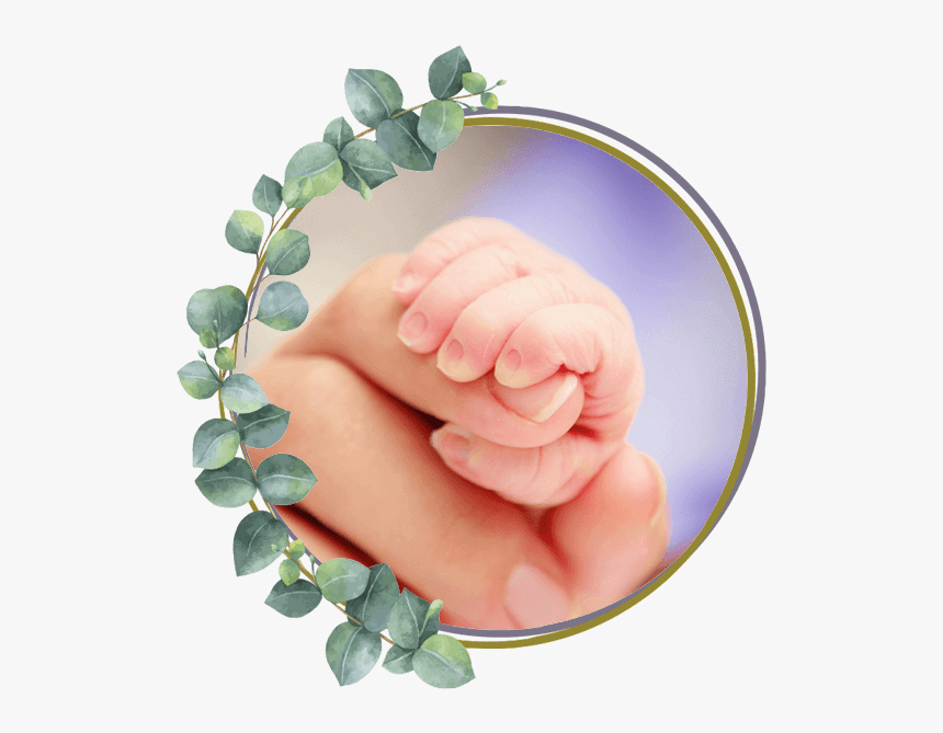 Clip Art, HD Png Download