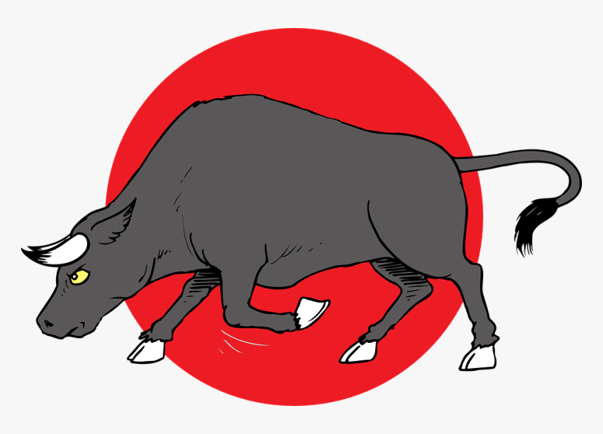 Charge, Bull, Horns, Animal, Tail, Preparing - Bull Preparing To Charge, HD Png Download