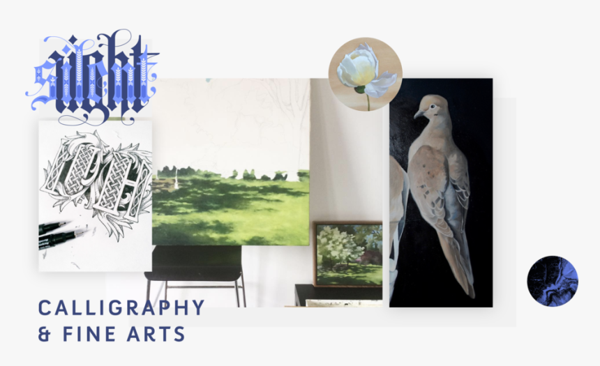 Page Calligraphy & Fine Arts - African Grey, HD Png Download