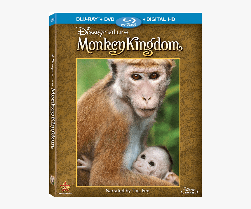 Monkey Kingdom - Disneynature Monkey Kingdom Blu Ray, HD Png Download