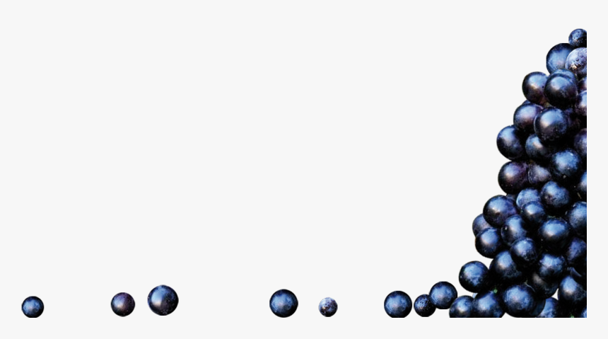 Transparent Raisins Png - Raisin Vin Png, Png Download