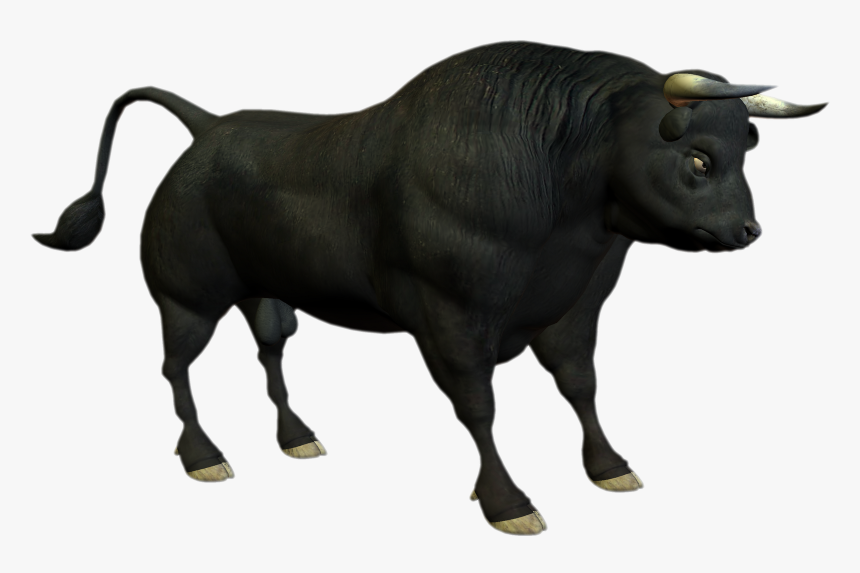 Clip Art Bull Png - Bull Png, Transparent Png