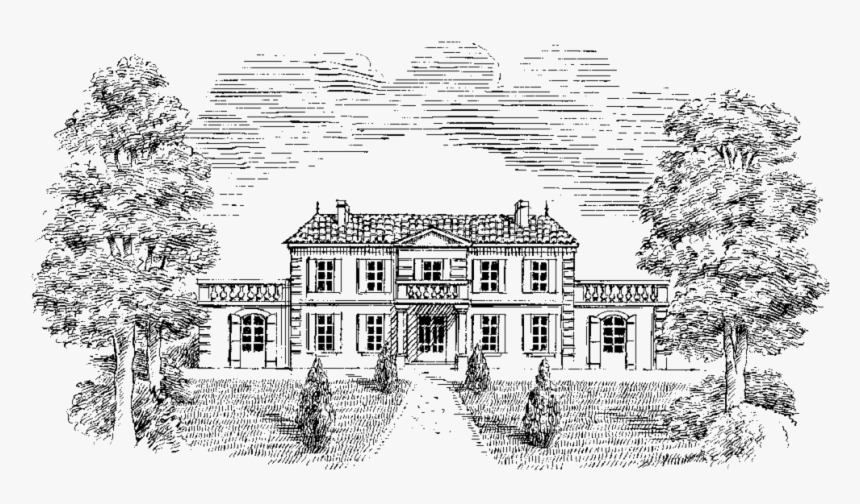 Chateau Saint Lo Vin Saint Emilion Grand Cru - Vin Saint Emilion Étiquette, HD Png Download