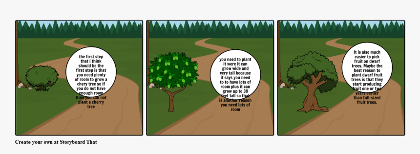 Know Why The Caged Bird Sings Storyboard, HD Png Download