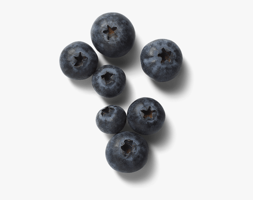 Bilberry, HD Png Download