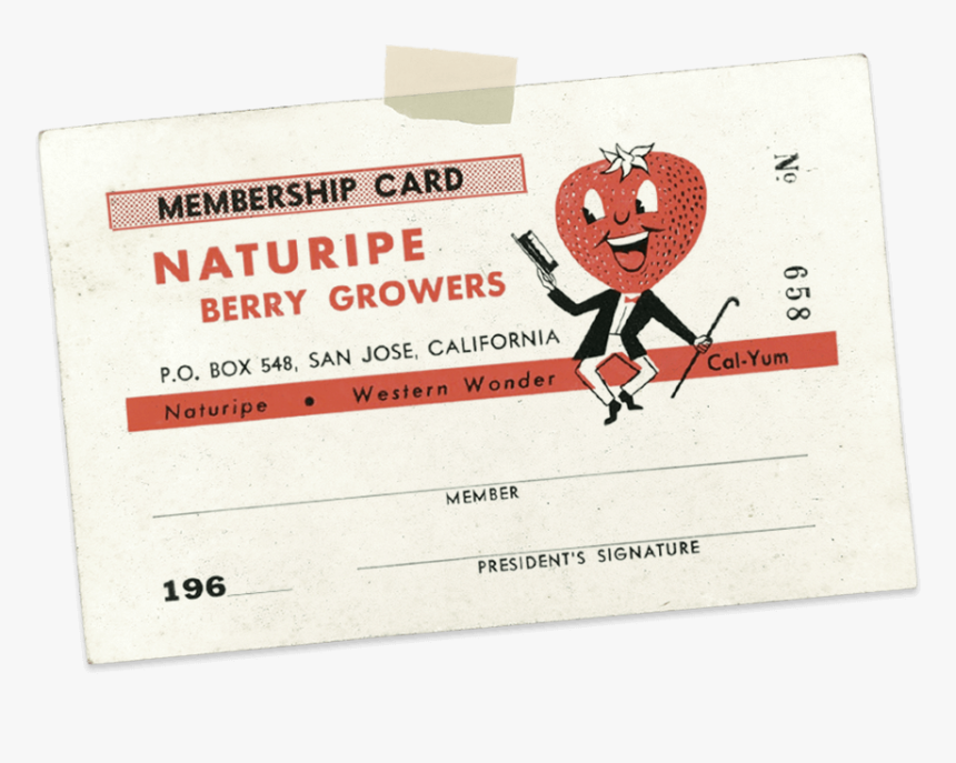 Flyer, HD Png Download