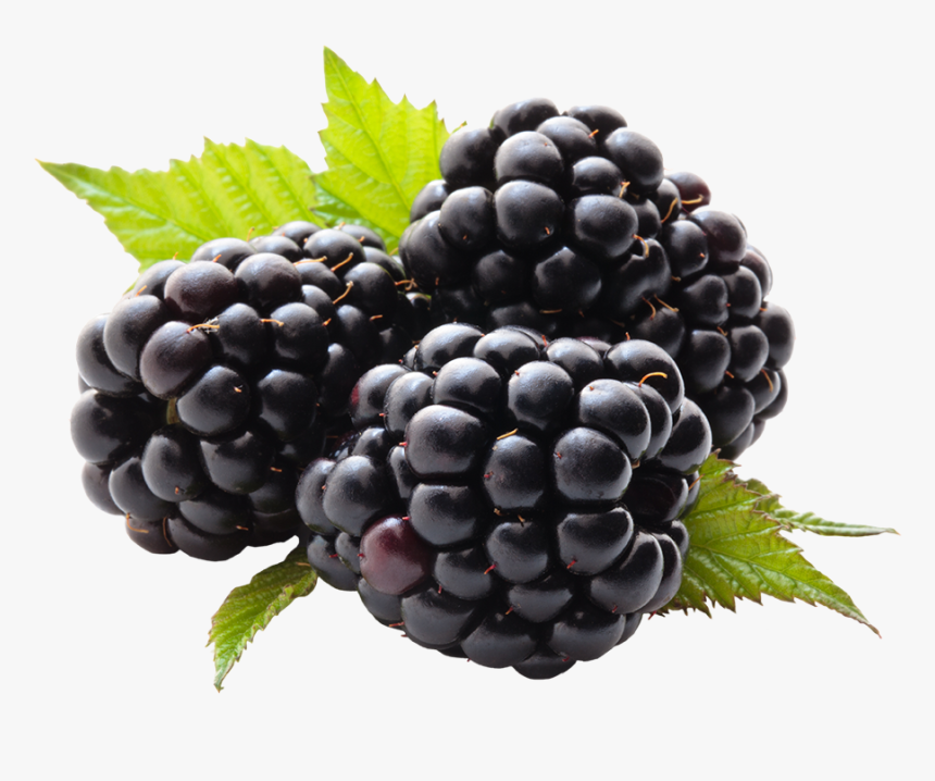 Blackberry Png - Health Benefits For Blackberry, Transparent Png