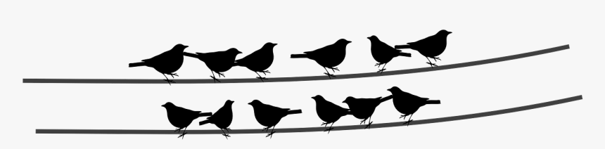 Birds, Wire, Cable, Sitting Birds - Birds Sitting Png, Transparent Png